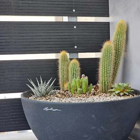 Loft Greece - Enjoy Our Jacuzzi & Hammam 아파트