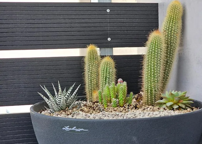 Loft Greece - Enjoy Our Jacuzzi & Hammam 公寓